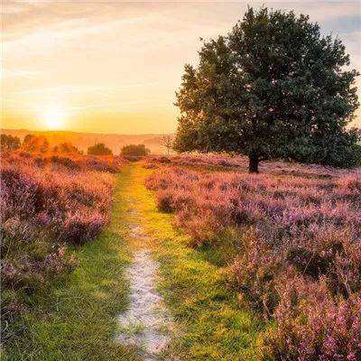 B体育手机版下载